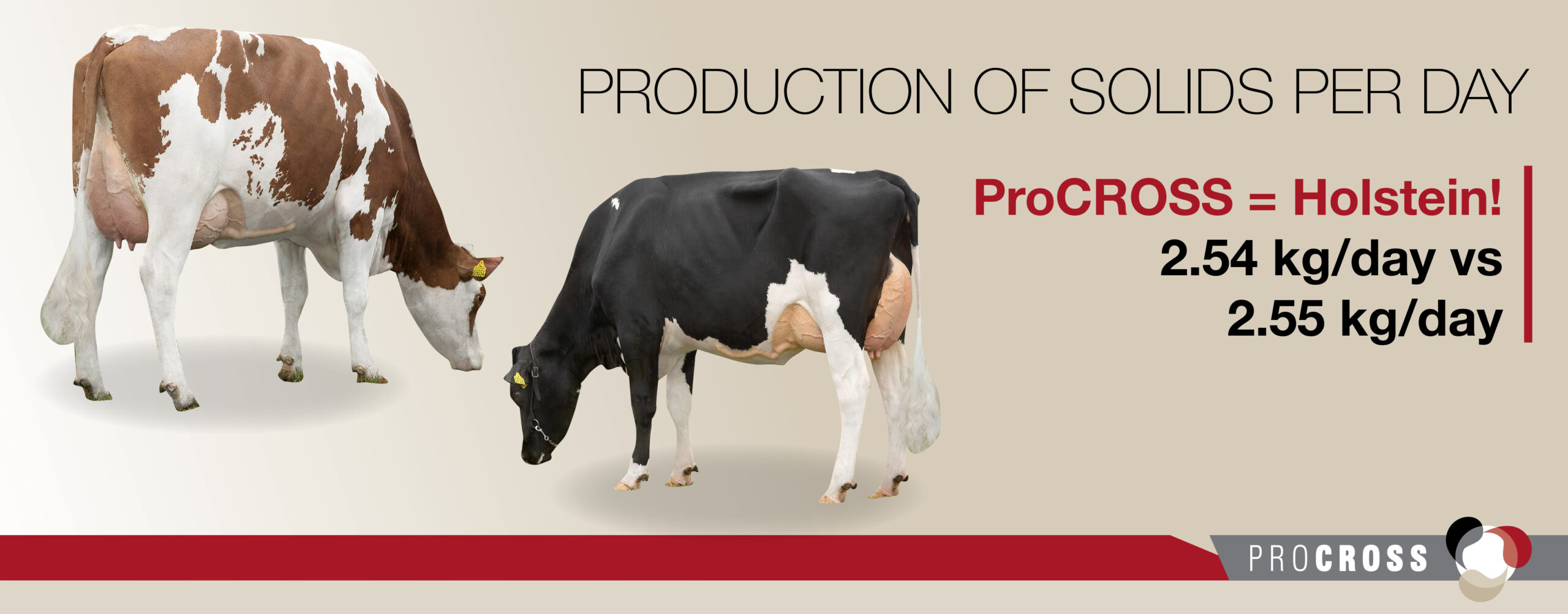 VikingHolstein - ProCROSS: the most efficient cross breeding